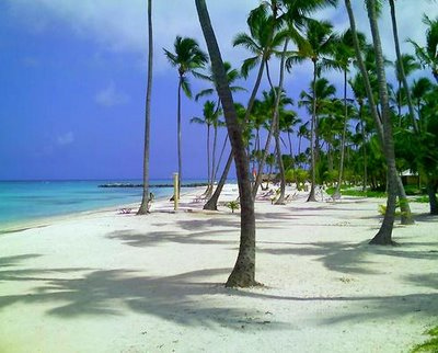 playa punta cana