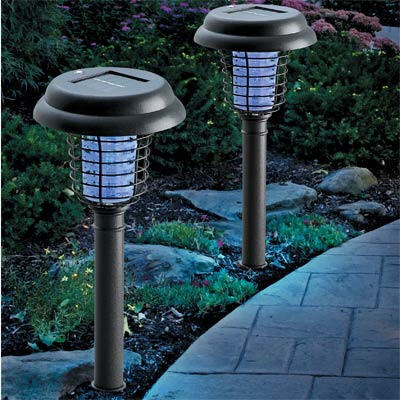 Solar-Lights-for-Your-Garden