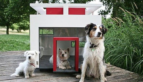 caseta-para-perro-the-cubix